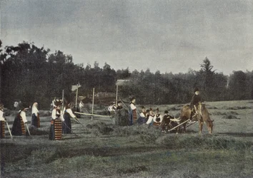 Haymaking in Dalecarlia, Sweden
